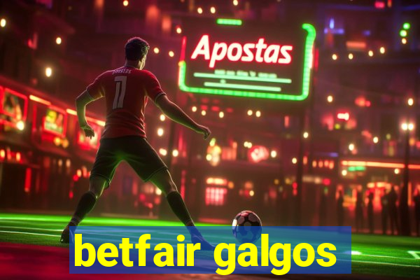 betfair galgos